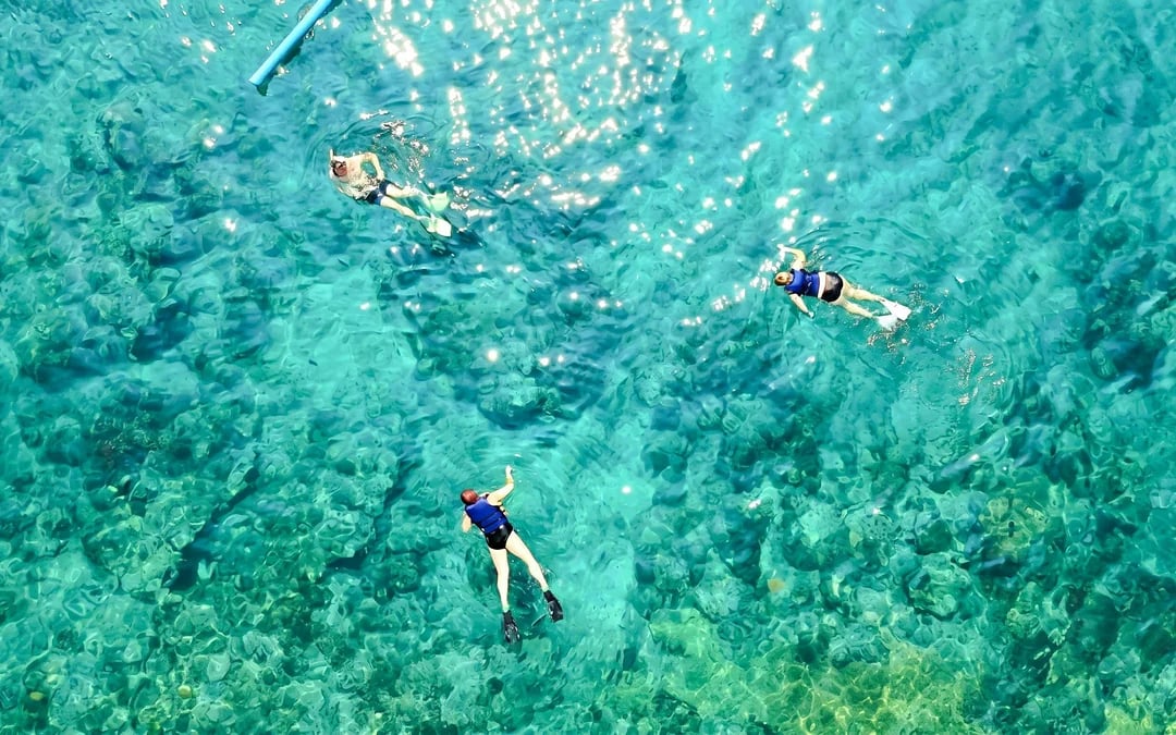 Catamaran Adventure Full Day: Ile aux cerfs, GRSE Waterfall, Snorkeling & BBQ Lunch Image 4