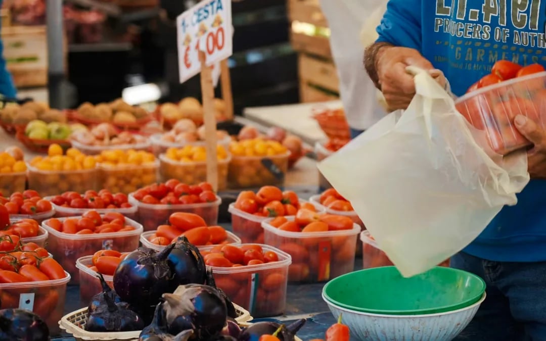 Catania Street Food Walking Tour with Tastings Image 8