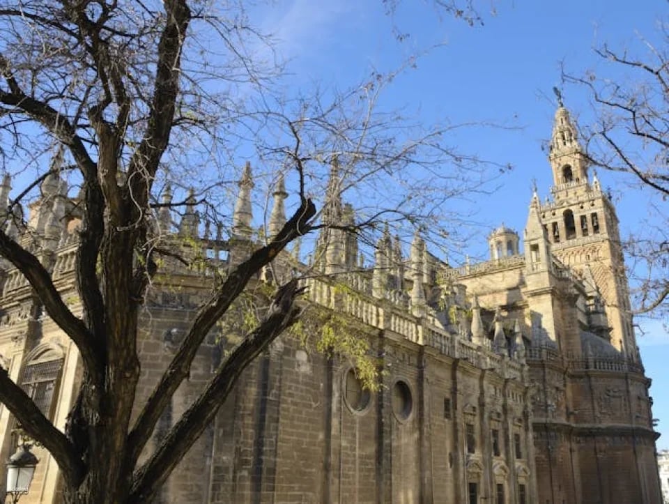 Cathedral of Seville skip-the-lines tickets and guided tour