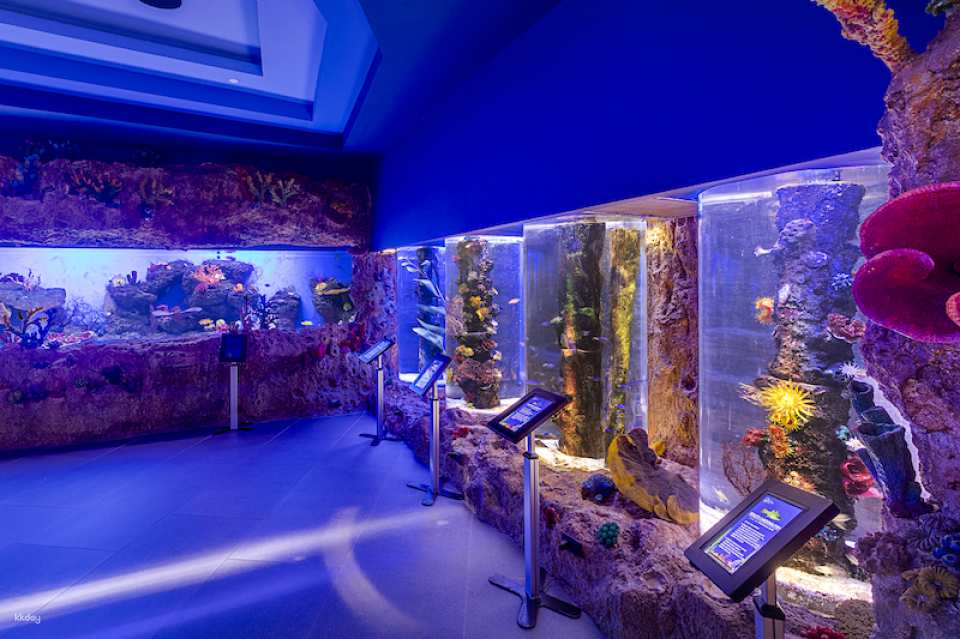 Cebu Ocean Park Admission Ticket | Philippines