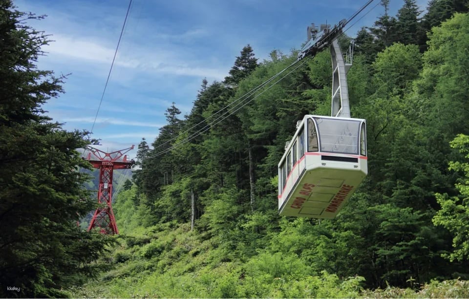 Central Alps Komagatake Ropeway Boarding Ticket | Official Retailer | Japan