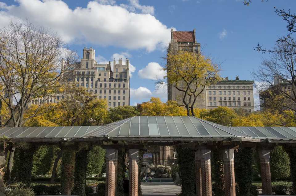 Central Park Zoo Ticket | New York