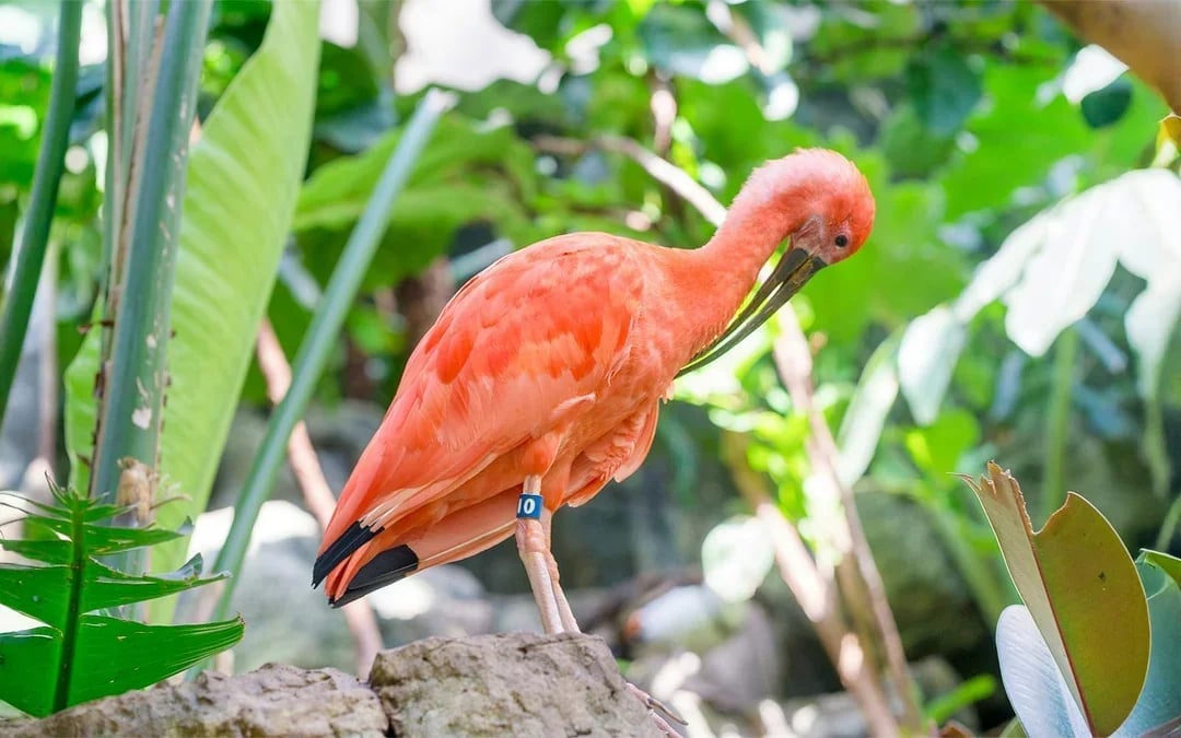 Central Park Zoo Tickets Image 11