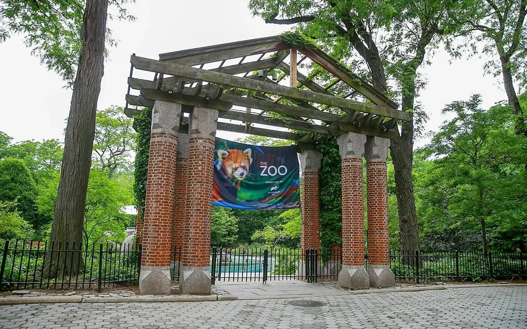 Central Park Zoo Tickets Image 12