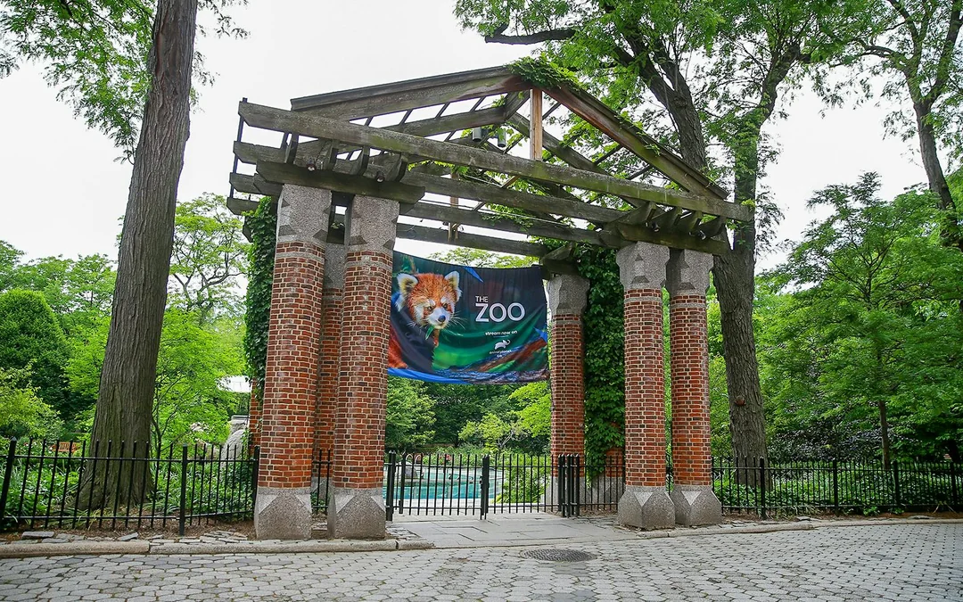 Central Park Zoo Tickets Image 12