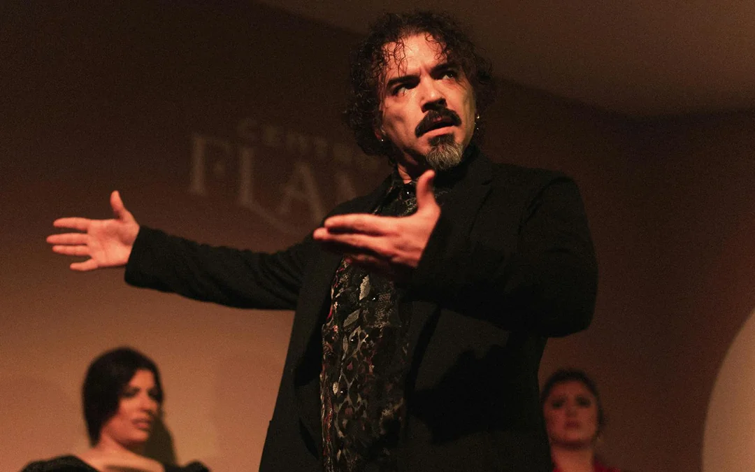 Centro Cultural - Flamenco Show Image 3