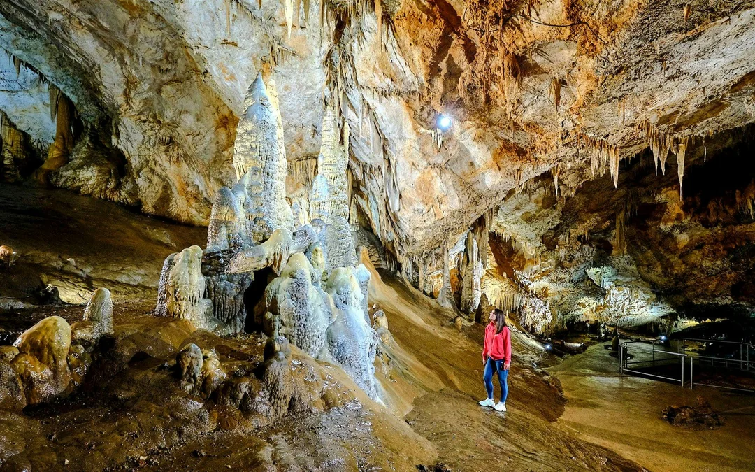 Cetinje: Lipa Cave Entrance Ticket with Guided Tour Image 4