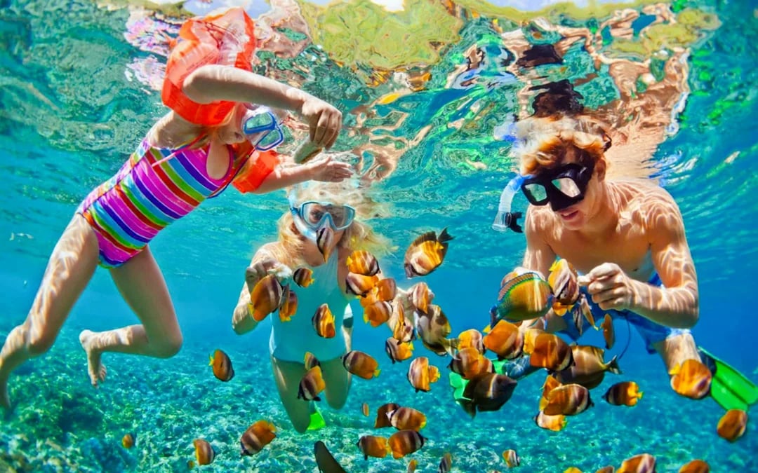 Cham Island Snorkeling Tour with Lunch from Da Nang or Hoi An Image 1