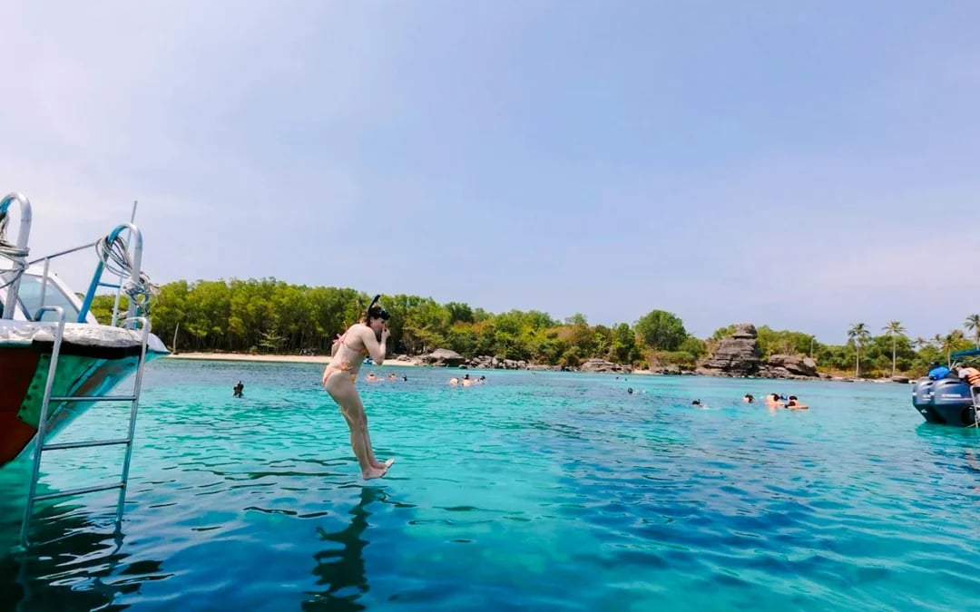 Cham Island Snorkeling Tour with Lunch from Da Nang or Hoi An Image 3