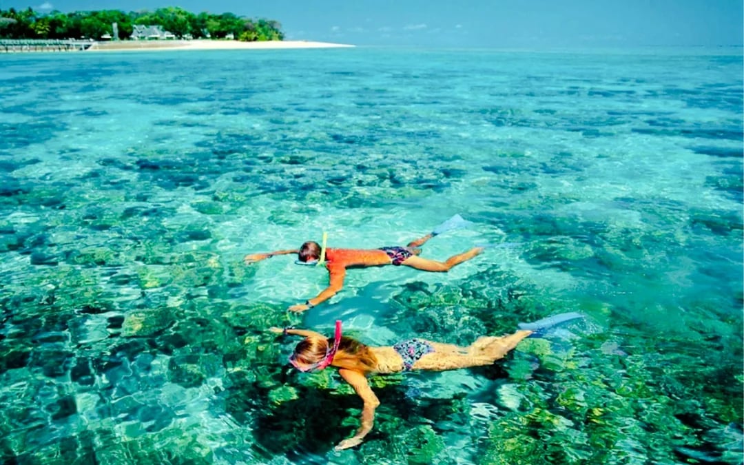 Cham Island Snorkeling Tour with Lunch from Da Nang or Hoi An Image 6