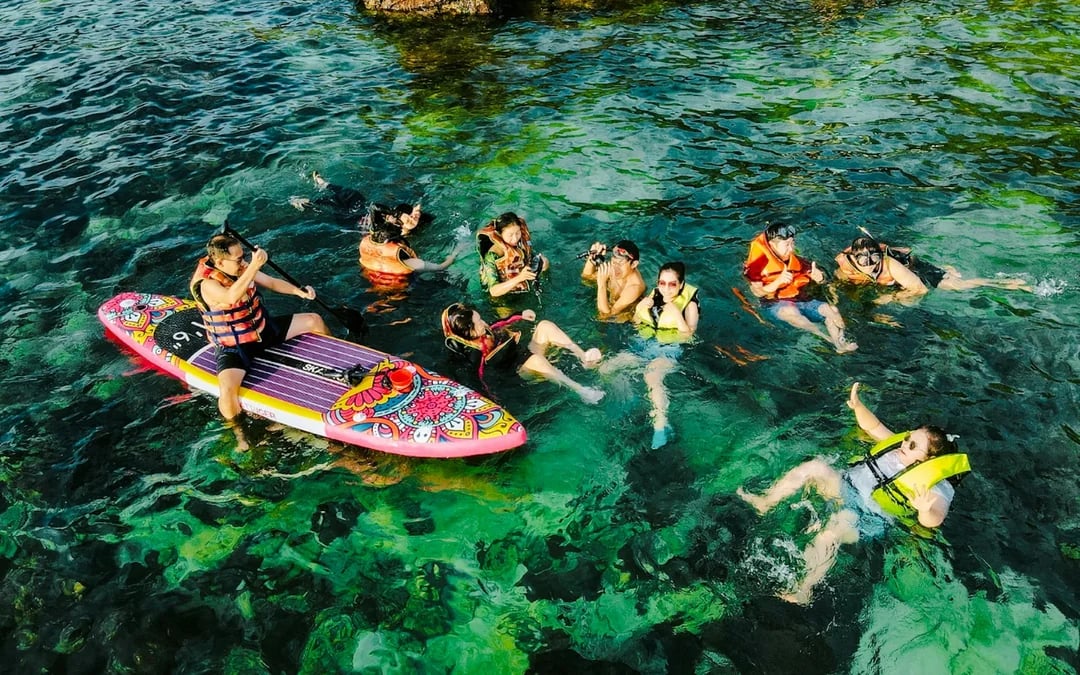 Cham Island Snorkeling Tour with Lunch from Da Nang or Hoi An Image 7