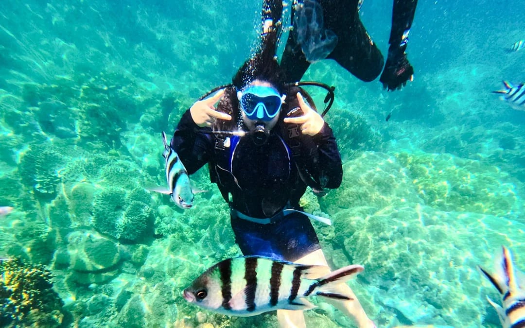 Cham Island Snorkeling Tour with Lunch from Da Nang or Hoi An Image 8