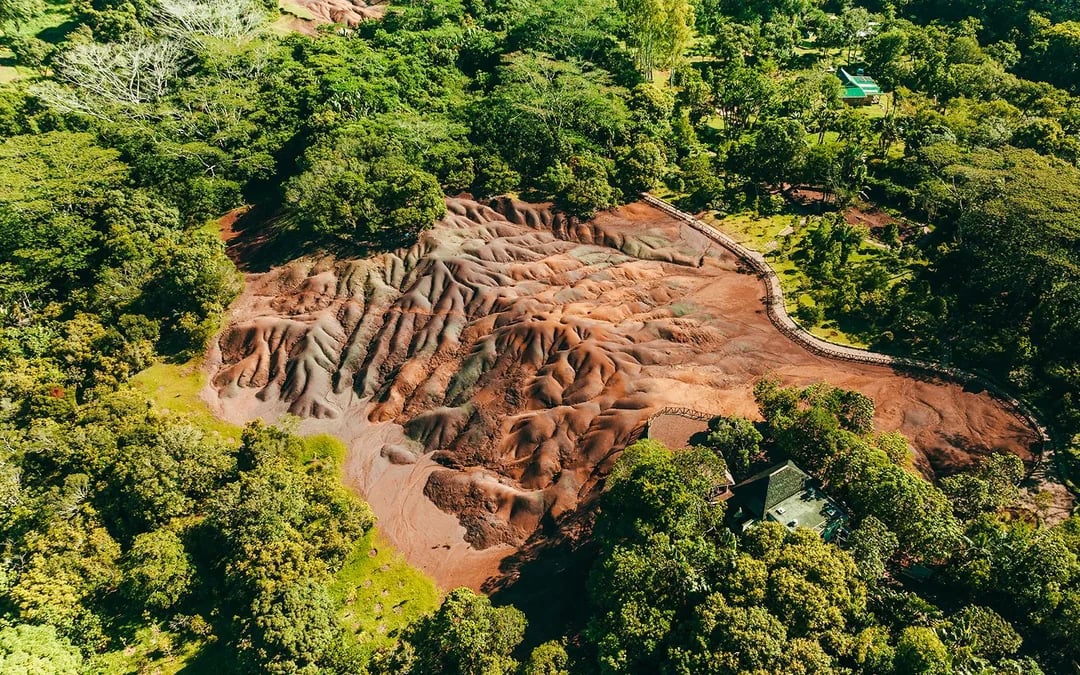 Chamarel 7 Coloured Earth Entry + Coffee Plantation Guided Tour & Tasting Image 10