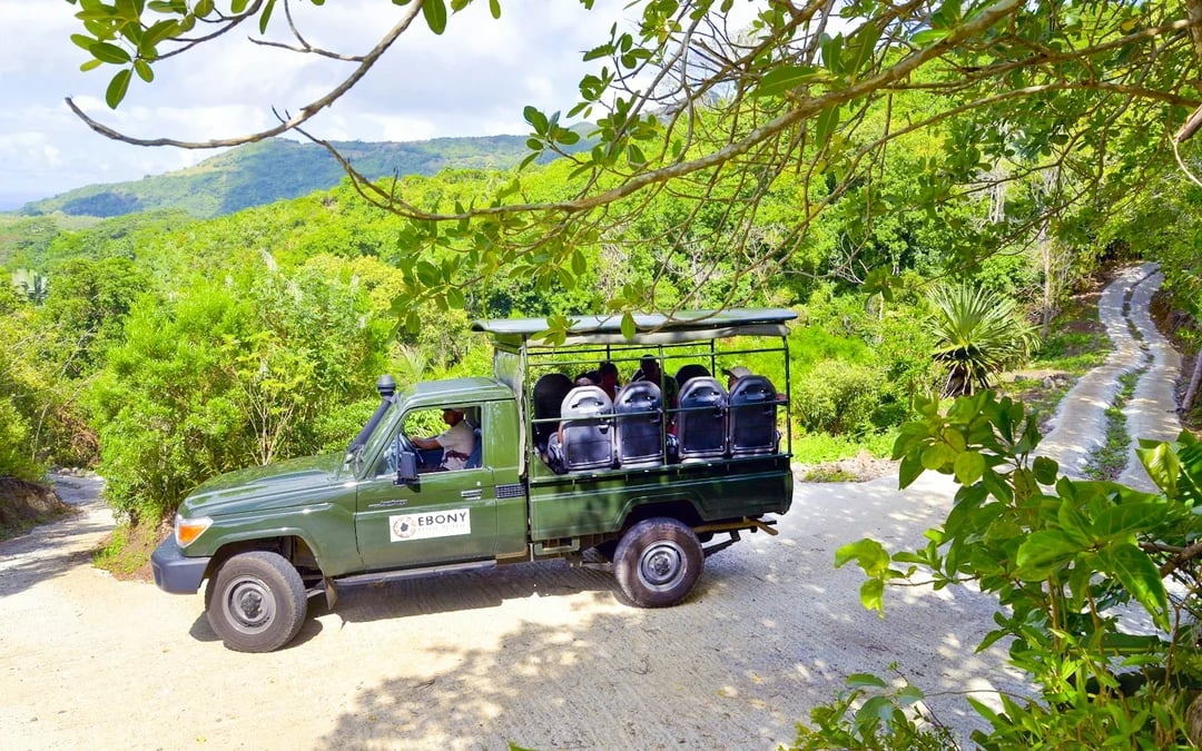 Chamarel Private Tour: Ebony Forest Jeep Safari, Seven Coloured Earth & Waterfall with Lunch Image 11