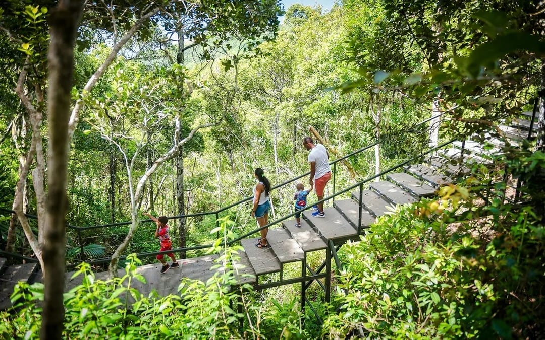 Chamarel Private Tour: Ebony Forest Jeep Safari, Seven Coloured Earth & Waterfall with Lunch Image 8