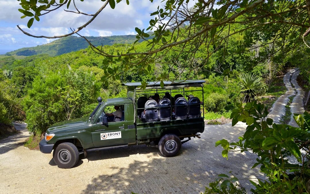 Chamarel Private Tour: Ebony Forest Jeep Safari, Seven Coloured Earth & Waterfall with Lunch Image 10