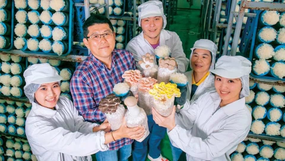 Changhua Magic Mushroom Tribe Leisure Farm Package