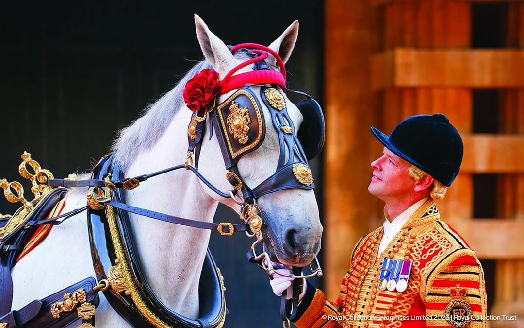 Changing of the Guard Experience with King’s Gallery Tickets and Optional Royal Mews Image 8