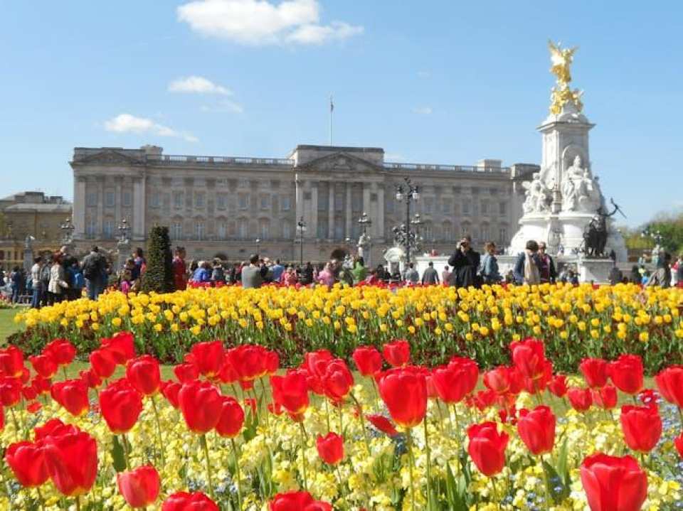 Changing the Guard Ceremony guided walking tour