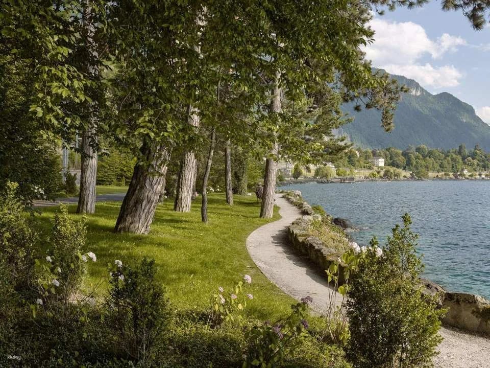 Ticket Chateau Chillon in Montreux