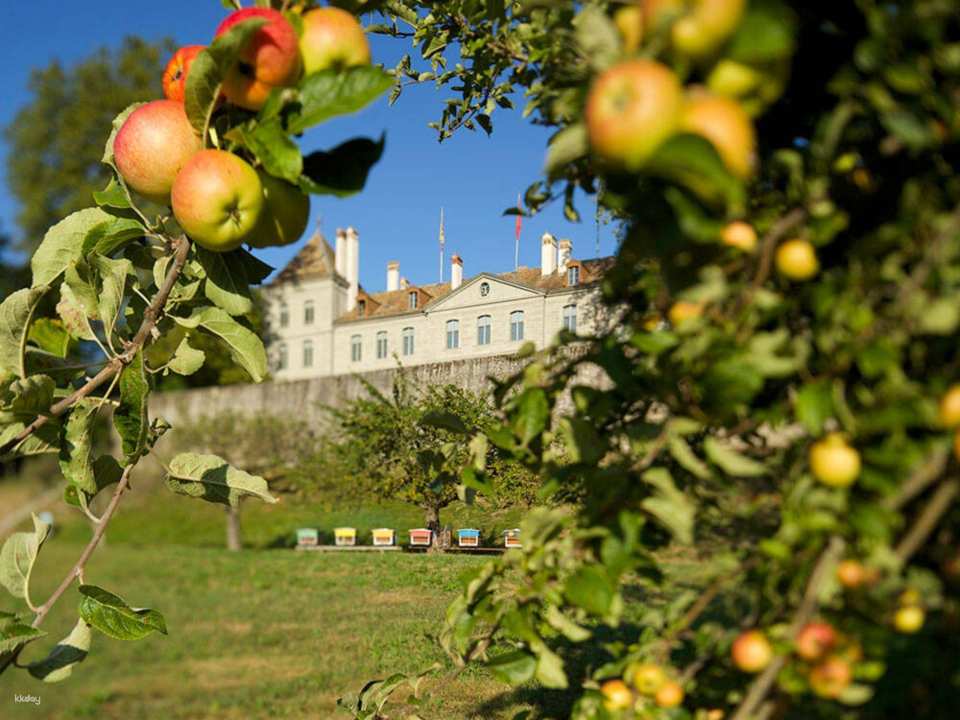 Château de Prangins Ticket