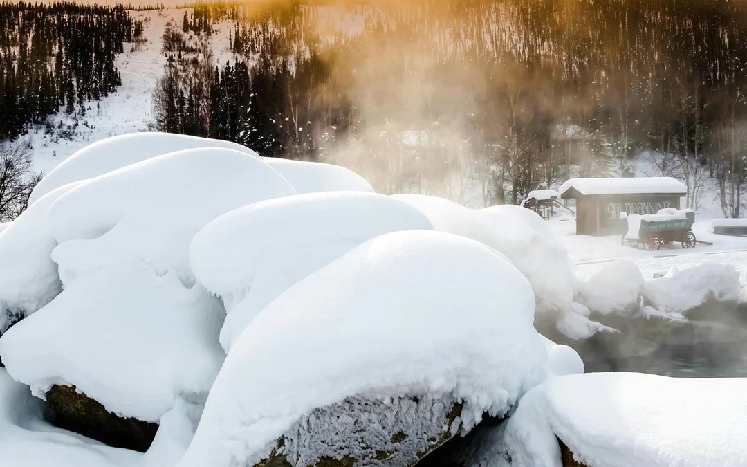 Chena Hot Springs Tour Image 8