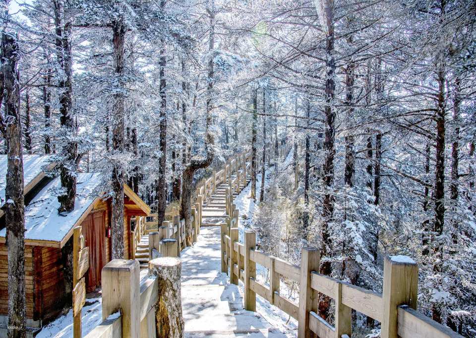 Chengdu, Sichuan | Xiling Snow Mountain Scenic Area, Dayi County | Includes round-trip sightseeing bus + round-trip cable car ticket to Yuanyang Pond