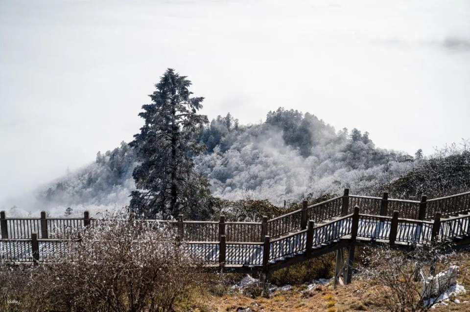 Chengdu, Sichuan | Xiling Snow Mountain Scenic Area, Dayi County | Includes round-trip sightseeing bus + round-trip cable car ticket to Yuanyang Pond