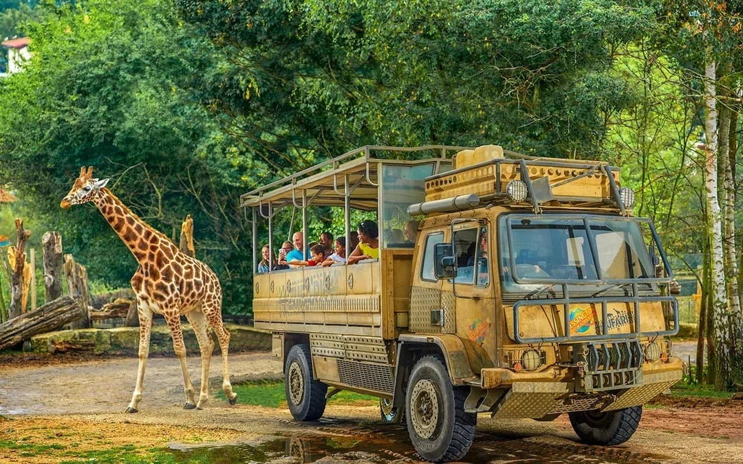 Chessington World of Adventures Resort Entry Tickets Image 5