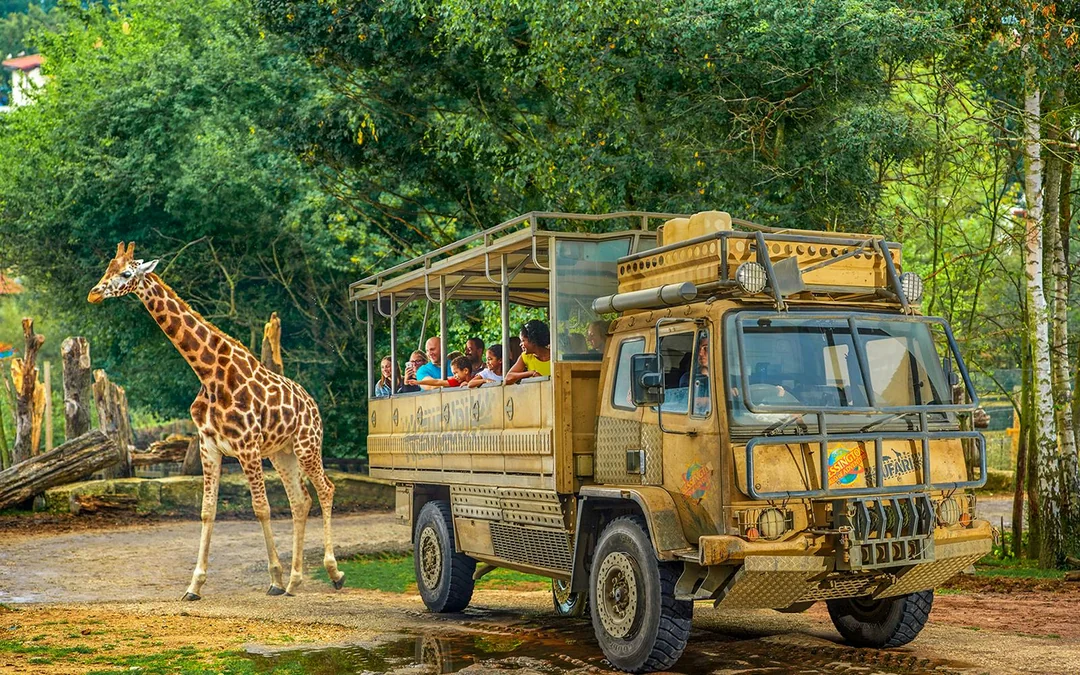 Chessington World of Adventures Resort Entry Tickets Image 5