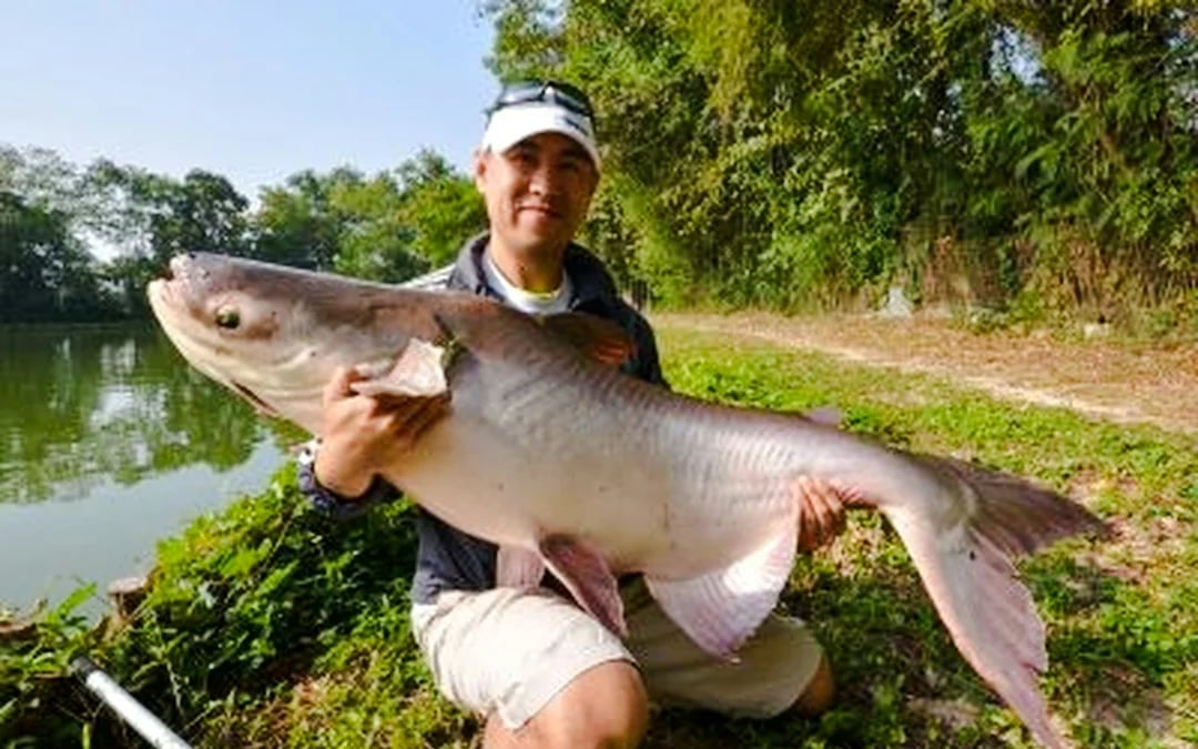 Chiang Mai Big-Game Fishing Experience with Transfers Image 6