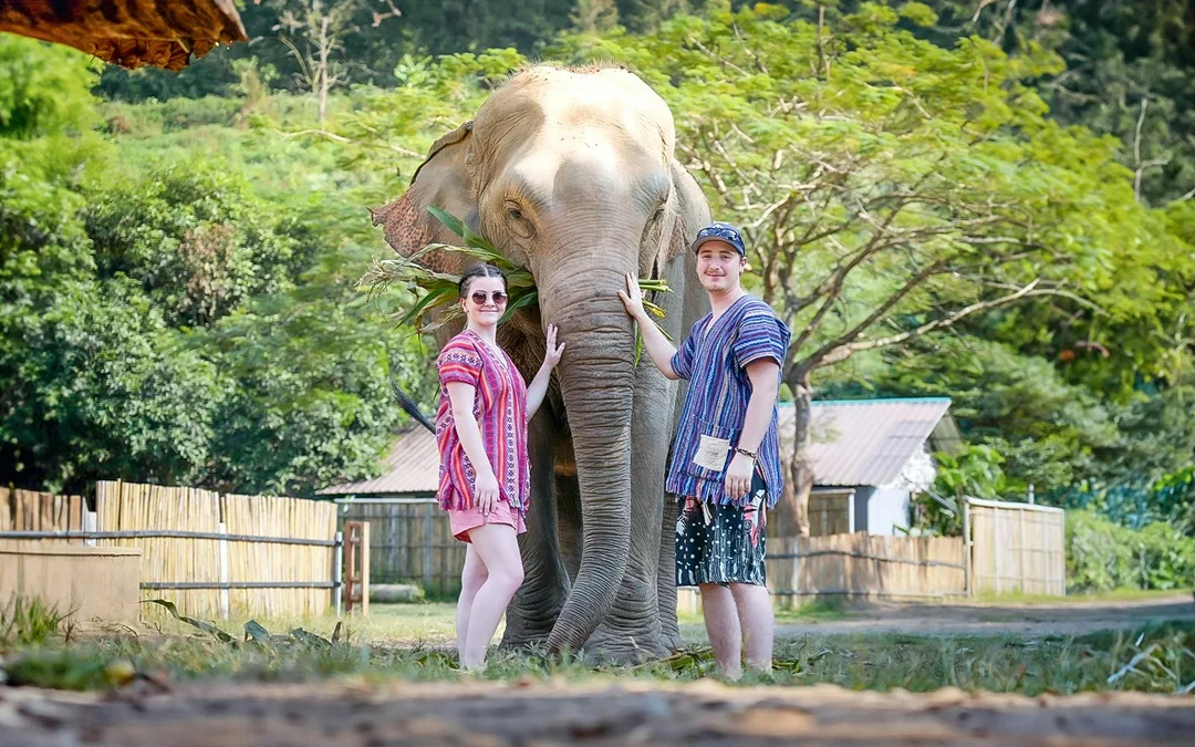 Chiang Mai: Elephant Jungle Sanctuary Tours Image 1