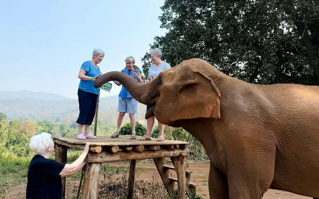 Chiang Mai: Elephant Sanctuary, Long Neck Village & Sticky Waterfall Tour Image 8