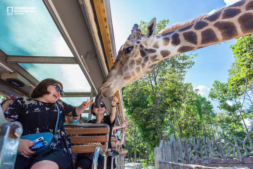 Chiang Mai Night Safari Ticket | Thailand