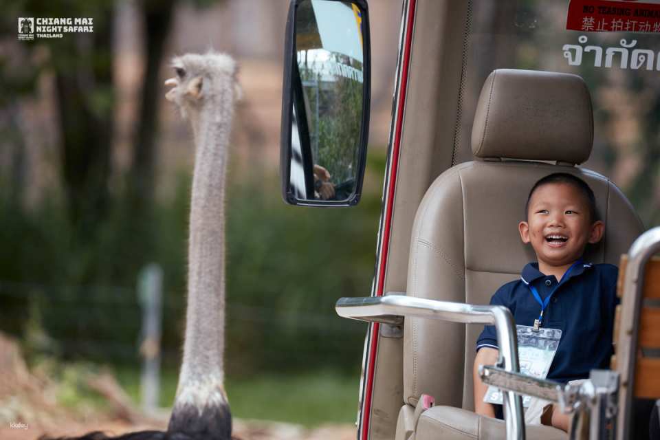 Chiang Mai Night Safari Ticket | Thailand