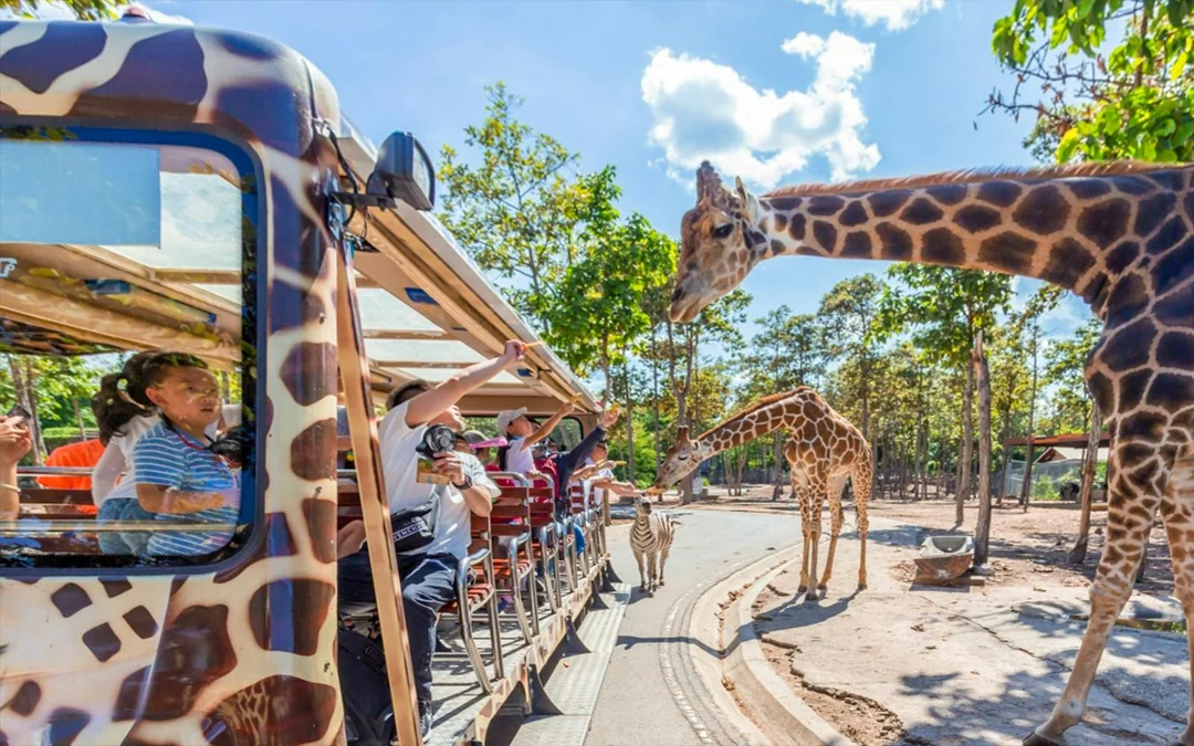 Chiang Mai Night Safari Tickets: Non Thai Residents Image 3