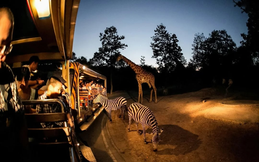 Chiang Mai Night Safari Tickets with Tram Rides Image 3
