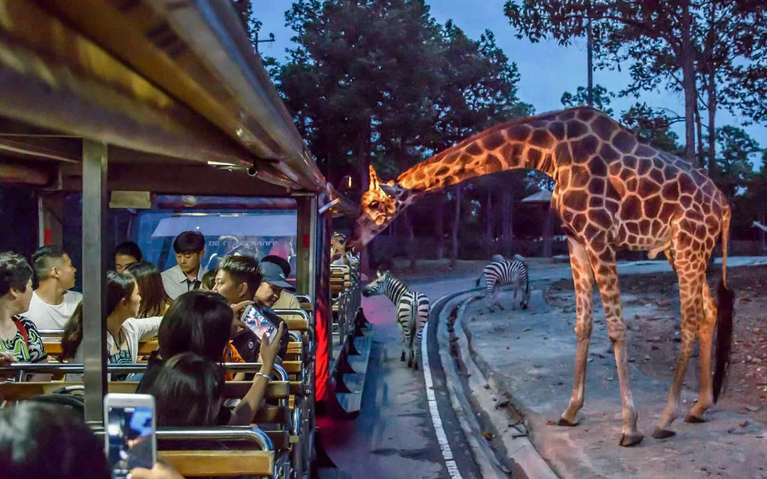 Chiang Mai Night Safari Tickets with Transfers: Non-Thai Residents Image 1