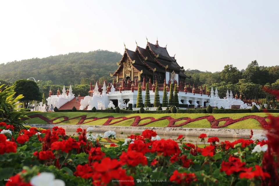 Chiang Mai Pass | Redeem up to 8 out of 40+ benefits