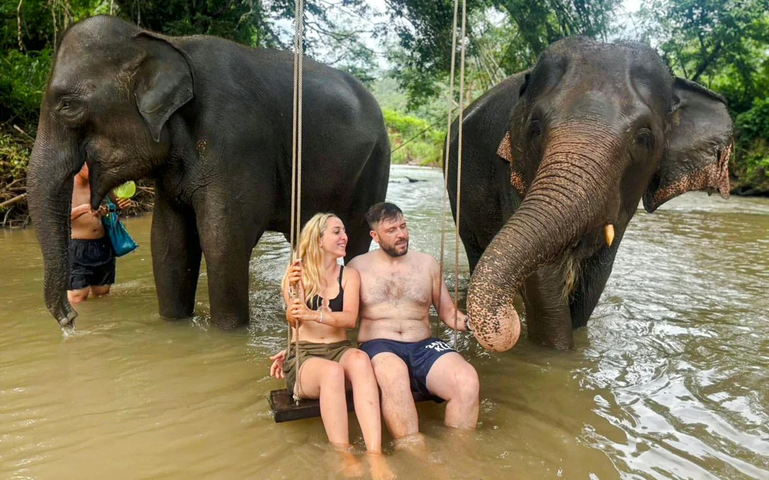 Chiang Mai: Pon Elephant Sanctuary Doi Inthanon National Park Full-Day Guided Tour Image 2