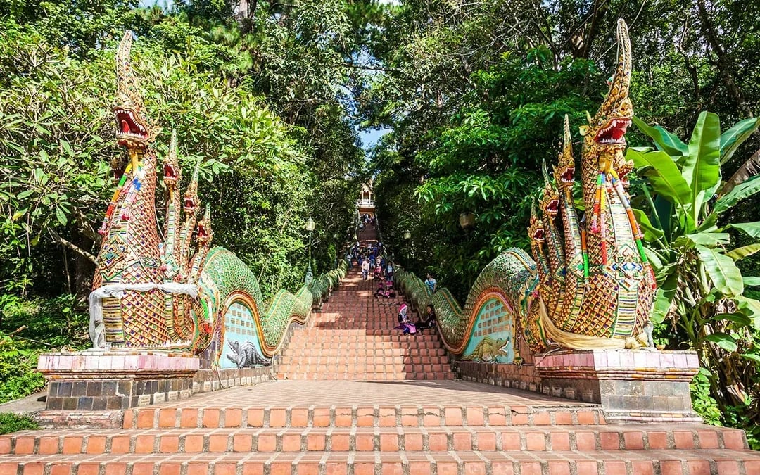 Chiang Mai: Pon Elephant Sanctuary Doi Inthanon National Park Full-Day Guided Tour Image 5