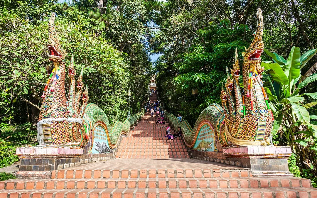 Chiang Mai: Pon Elephant Sanctuary Doi Inthanon National Park Full-Day Guided Tour Image 5