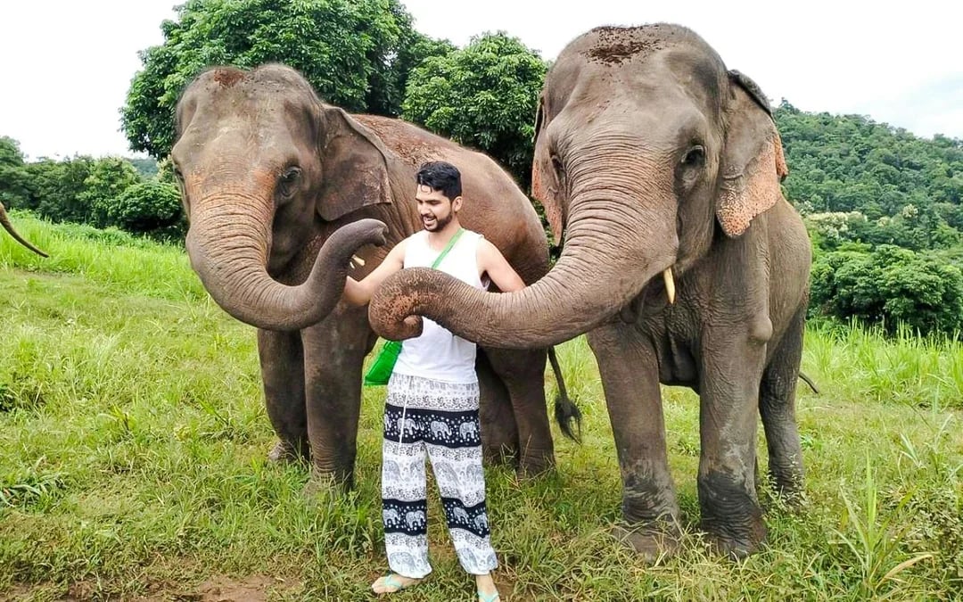 Chiang Mai: Pon Elephant Sanctuary Doi Inthanon National Park Full-Day Guided Tour Image 8