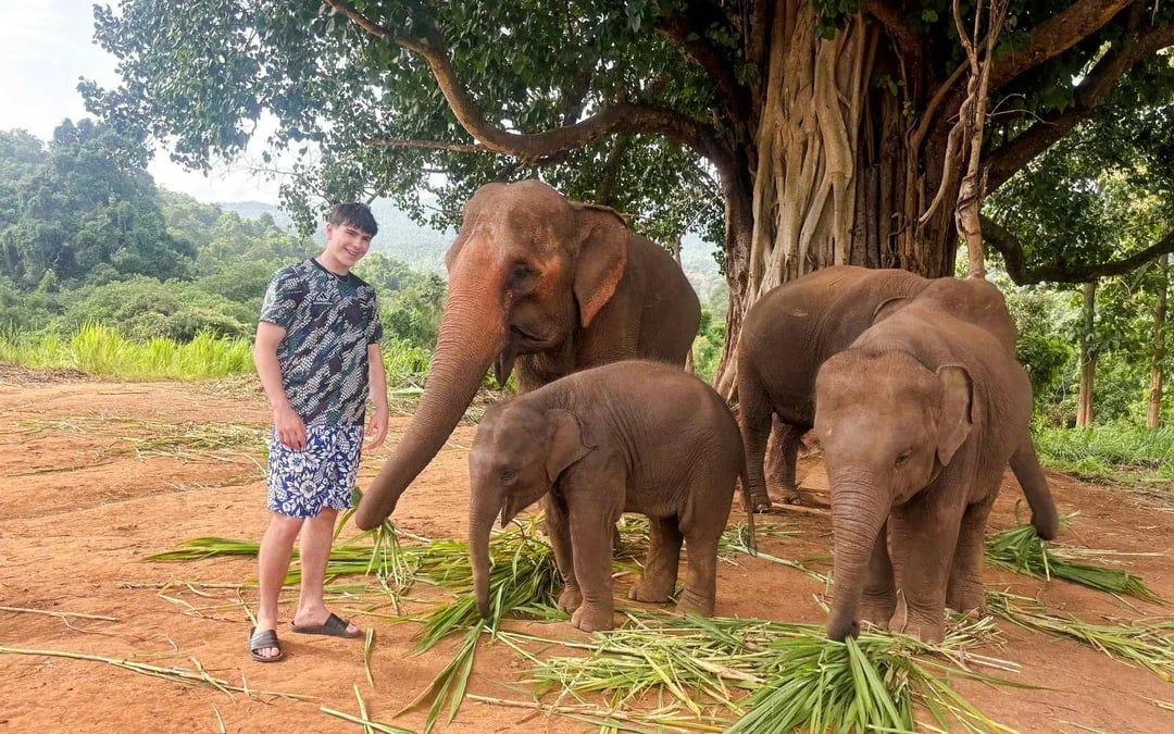 Chiang Mai: Pon Elephant Sanctuary Doi Inthanon National Park Full-Day Guided Tour Image 9