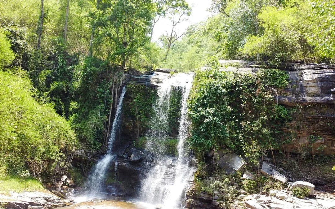 Chiang Mai: Pon Elephant Sanctuary Full-Day Guided Tour with Waterfall Experience Image 6