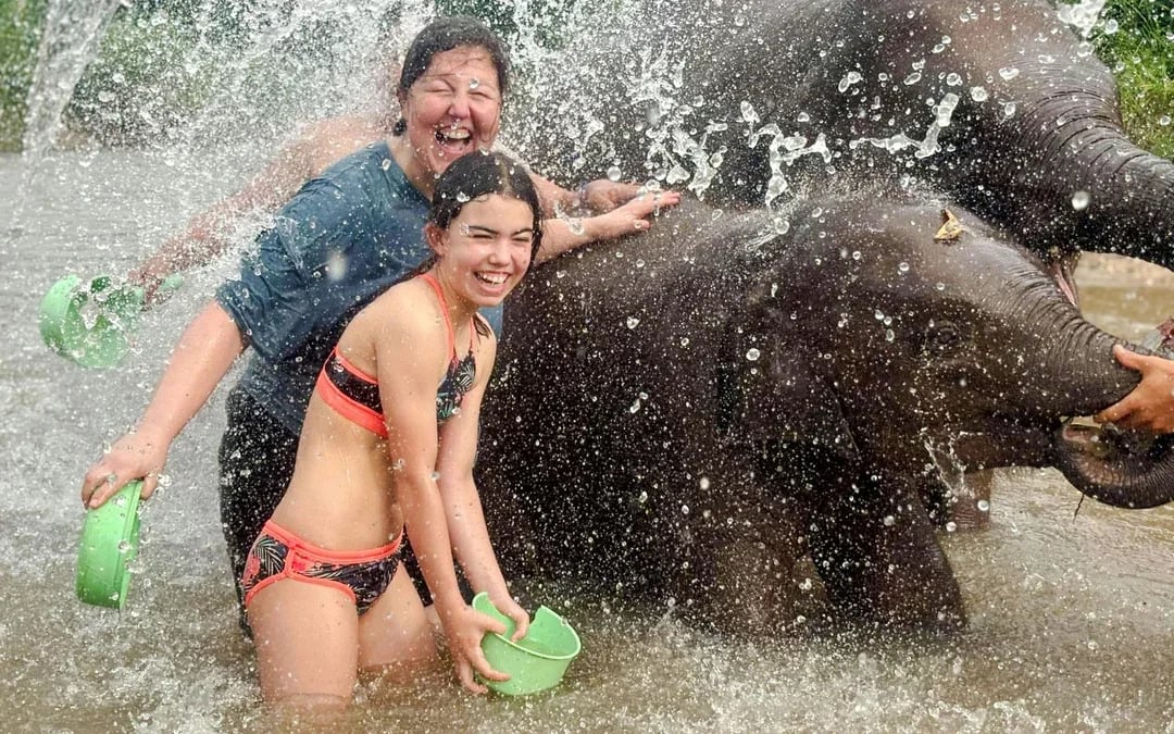 Chiang Mai: Pon Elephant Sanctuary Full-Day Guided Tour with Waterfall Experience Image 7