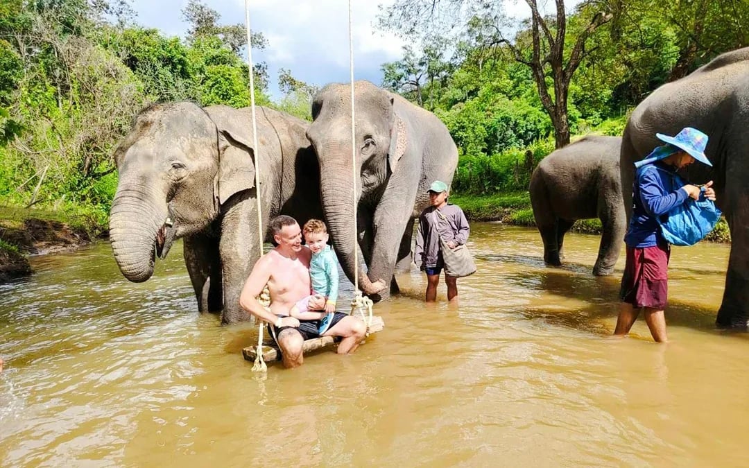 Chiang Mai: Pon Elephant Sanctuary Full-Day Guided Tour with Waterfall Experience Image 8