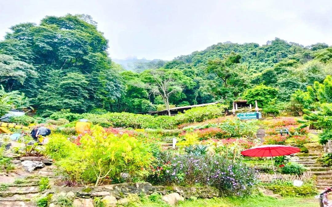 Chiang Mai Private Van Charter to Doi Suthep Temple and White Hmong Village for up to 8 Guests Image 4