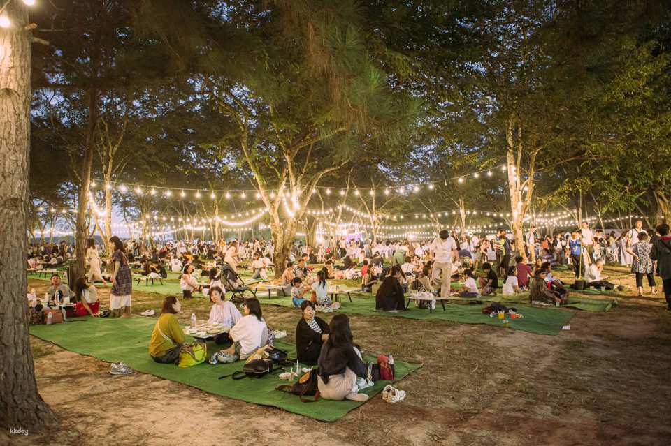 Chiang Mai Sky Lantern Festival 2026 at Royal Chiang Mai Golf Club | Thailand