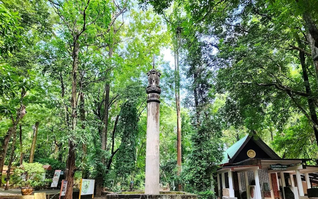 Chiang Mai Temples Small-Group Guided Tour with Wat Umong Entry Image 3